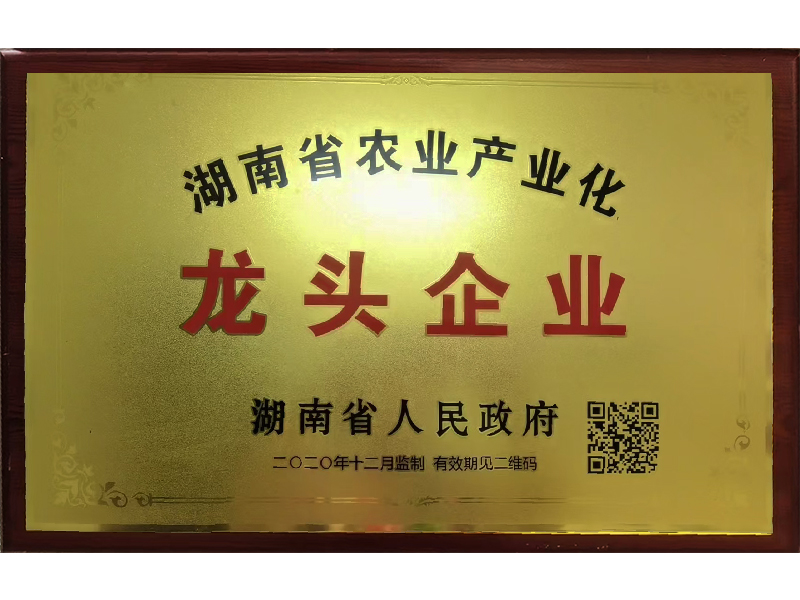 岳陽市漁之源食品有限公司,岳港漁都,洞庭魚港,散稱系列,田螺系列,臭豆腐加工，香豆腐加工，烤脖加工，魚仔,鴨排加工、雞丁加工代加工